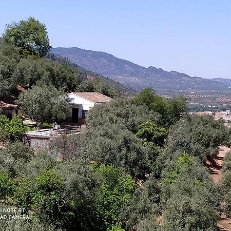 Cortijo Las Lagunillas Ла-Пуэрта-де-Сегура Экстерьер фото